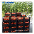 commercial green houses multi span tomato greenhouse